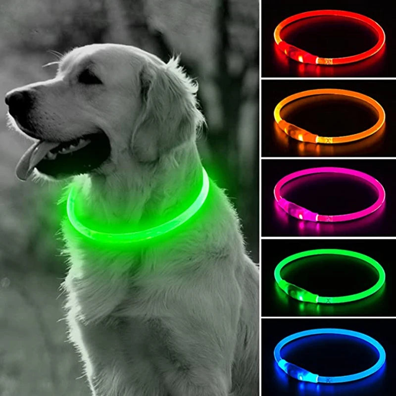 Coleira LED para Cães e Gatos