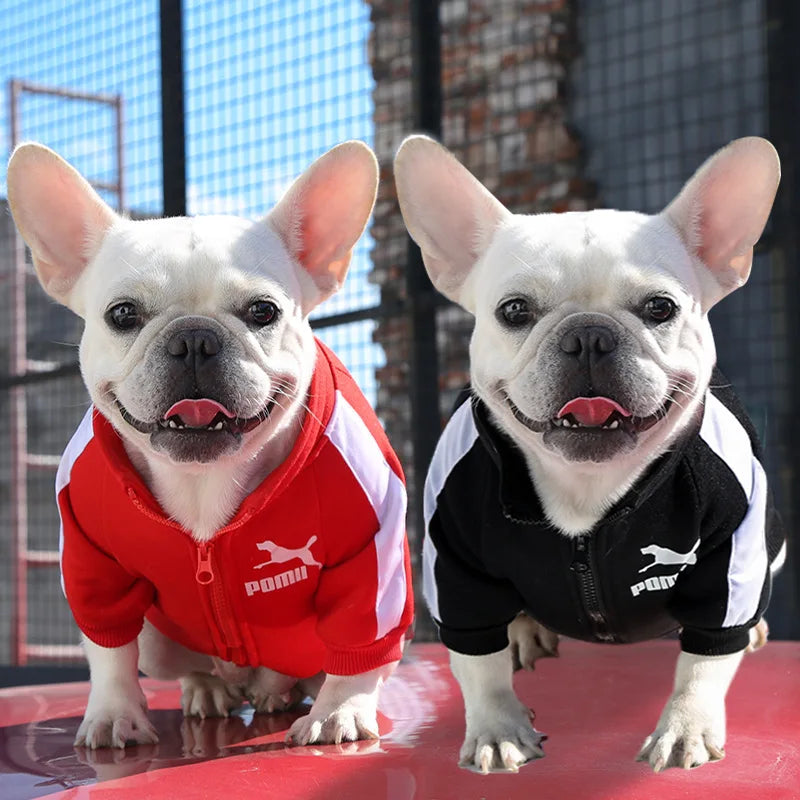 Jaqueta de Inverno para Cães - Conforto e Estilo para Seu Pet!