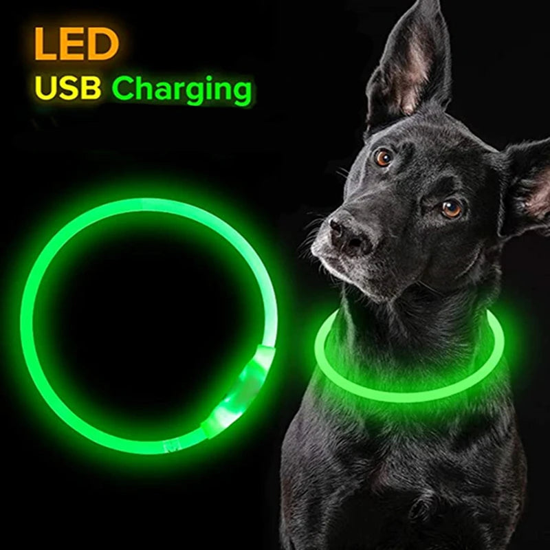 Coleira LED para Cães e Gatos