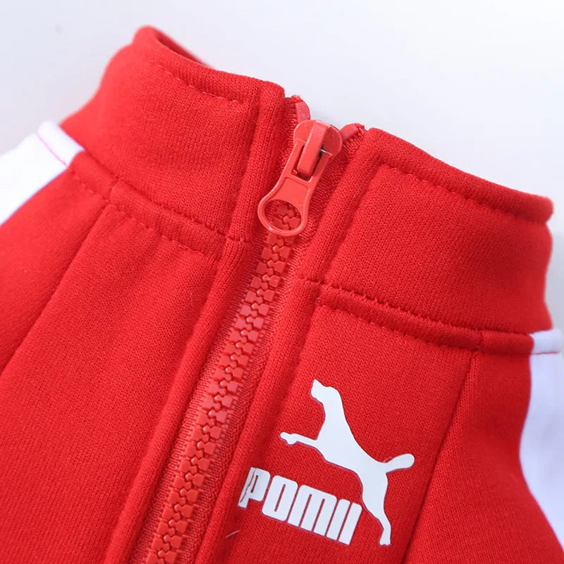 Jaqueta de Inverno para Cães - Conforto e Estilo para Seu Pet!