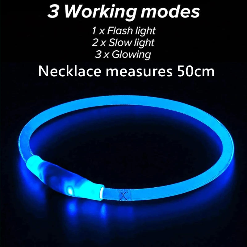 Coleira LED para Cães e Gatos