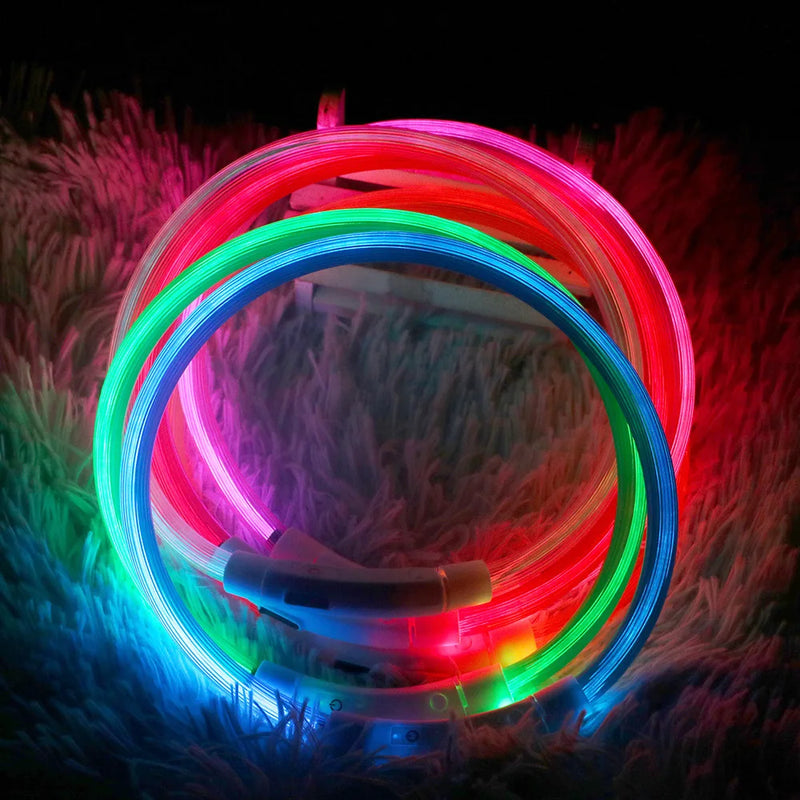 Coleira LED para Cães e Gatos
